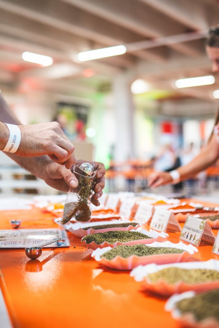 Spice Workshop on Family Day