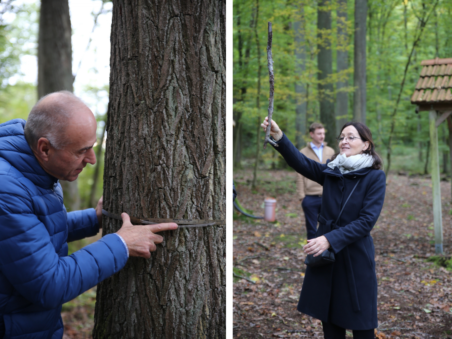 Jubilarfeier Kräuter Mix 3 Baumvolumen berechnen war nur eine der interessanten Informationen aus der Wald-Lehrstunde am Steigerwald-Zentrum Handthal.