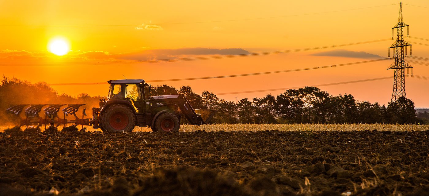 Kräuter Mix Beschaffung Sonnenuntergang