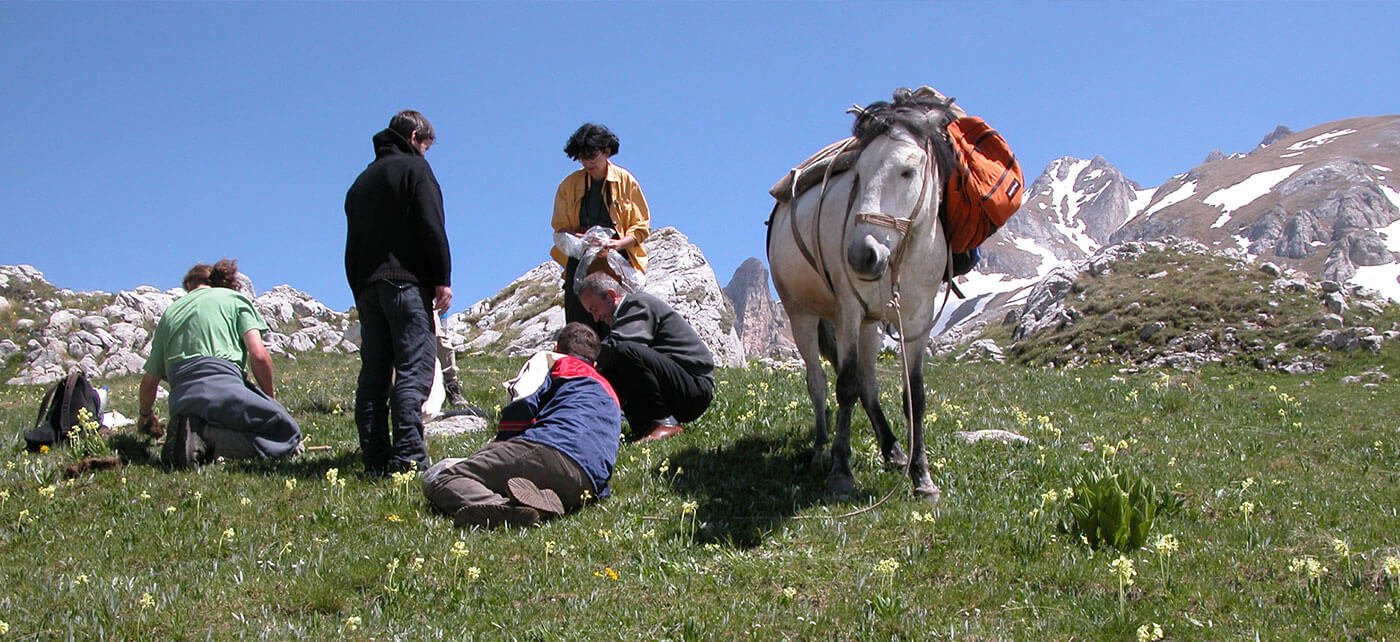 Kräuter Mix NV Berge Albanien