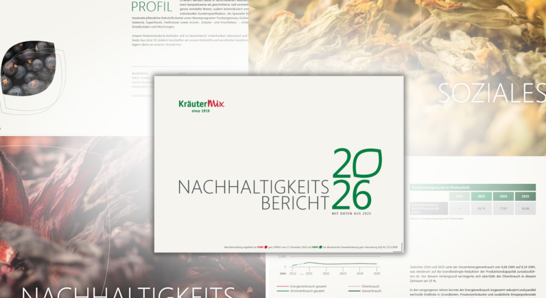 Collage als Einblick in den Nachhaltigkeitsbericht 2026