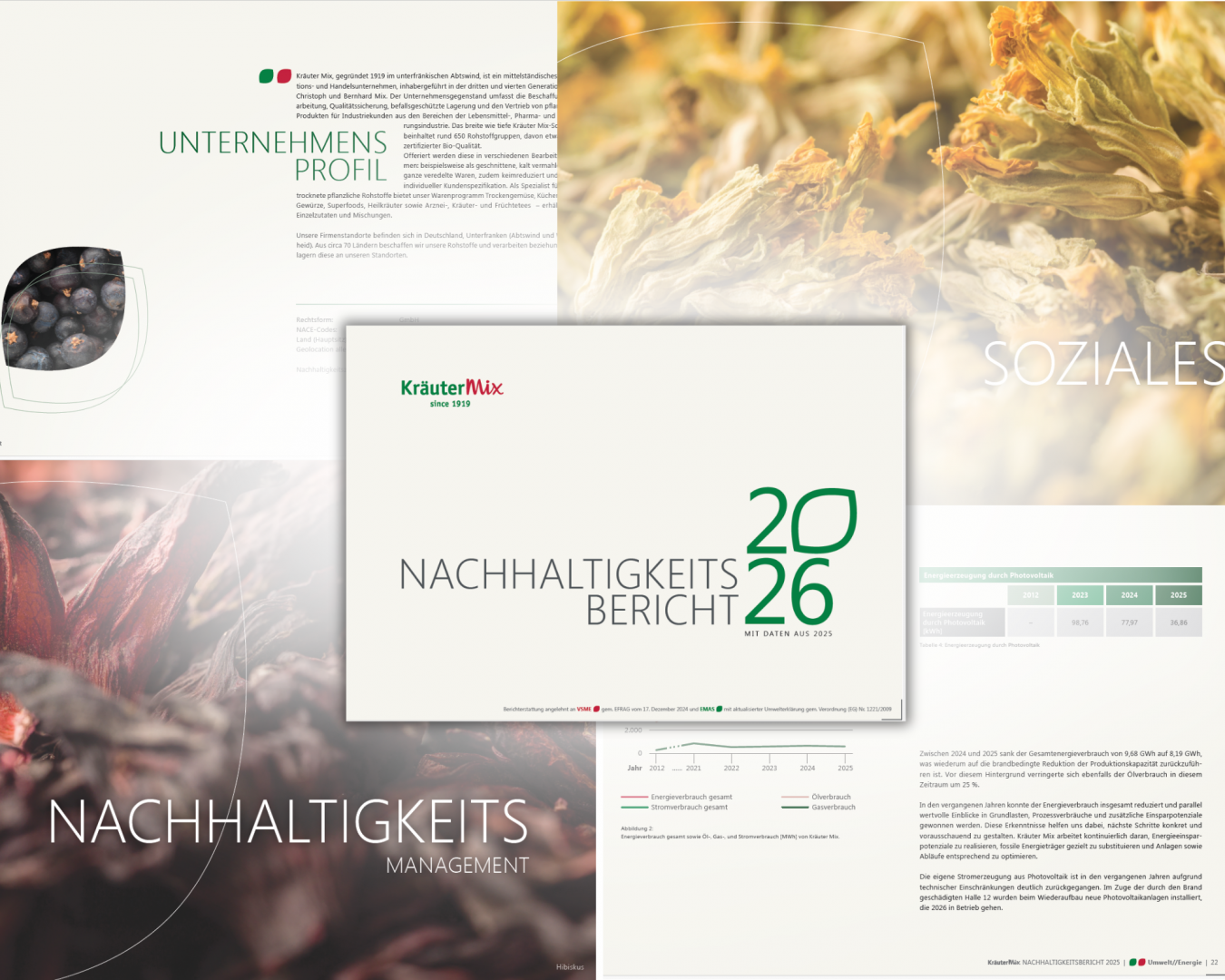 Collage als Einblick in den Nachhaltigkeitsbericht 2026