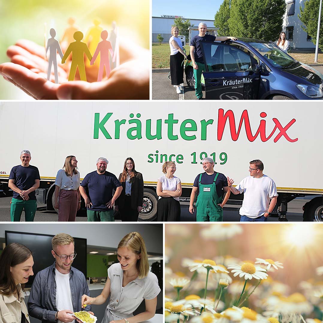 Karrierestart bei Kräutermix